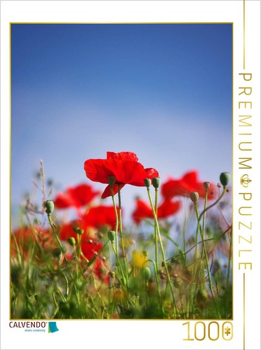 Calvendo puzzle roter - calvendo,