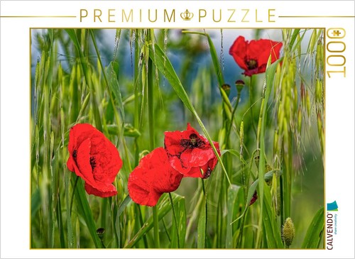 Calvendo puzzle klatschmohn - klatschmohn, im