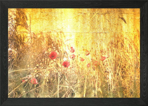Klatschmohn poppy framed - poppy,