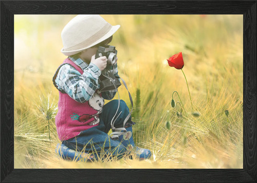 Klatschmohn poppy framed - framed, wall
