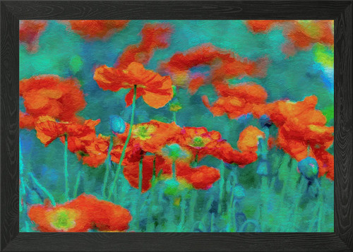 Klatschmohn poppy framed wall - klatschmohn,