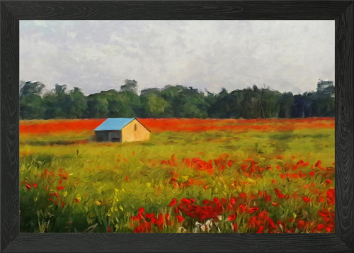 Klatschmohn poppy framed wall - klatschmohn,