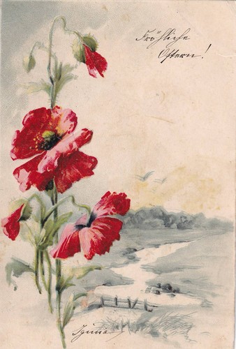 Künstler roter mohn - roter,