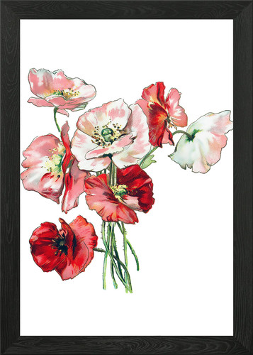 Klatschmohn poppy framed wall - framed,