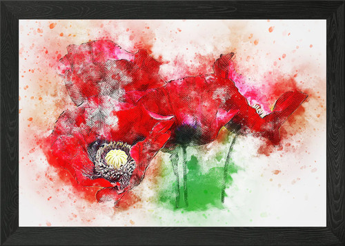 Klatschmohn poppy framed wall - framed,